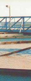 [Potable Water Clarifiers And Sedimentation Basins]
