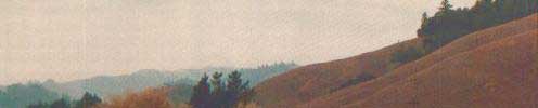 [Potable Water Clarifiers And Sedimentation Basins]