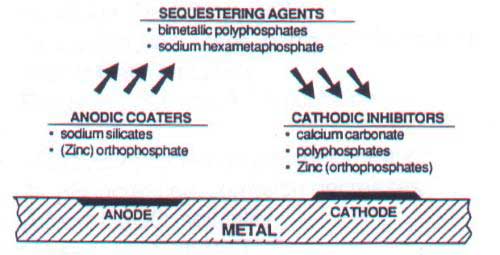 [Scale and Red Water Inhibitors]