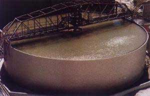 [Thickener Flocculants]