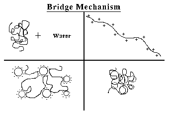 [Dewatering: Bridge Mechanism]