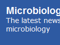 http://www.microbiologybytes.com/blog/tag/energy/